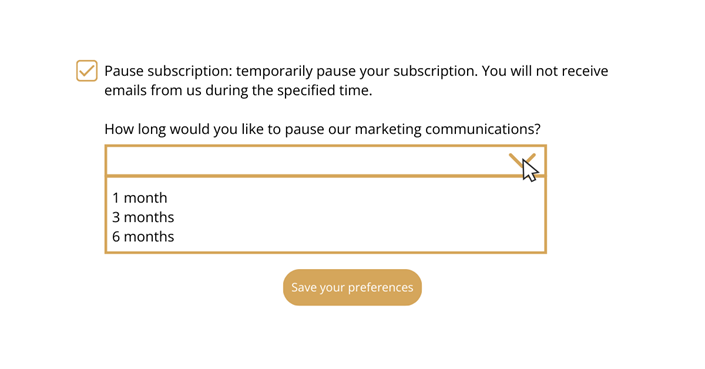 Case Study: Using Snooze to Enhance Re-Engagement Campaigns 4