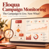 eloqua campaign monitoring, post campaign monitoring, monitoring campaign performance, eloqua evaluation period, eloqua bounceback, oracle eloqua dashboard