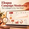 eloqua campaign monitoring, post campaign monitoring, monitoring campaign performance, eloqua evaluation period, eloqua bounceback, oracle eloqua dashboard